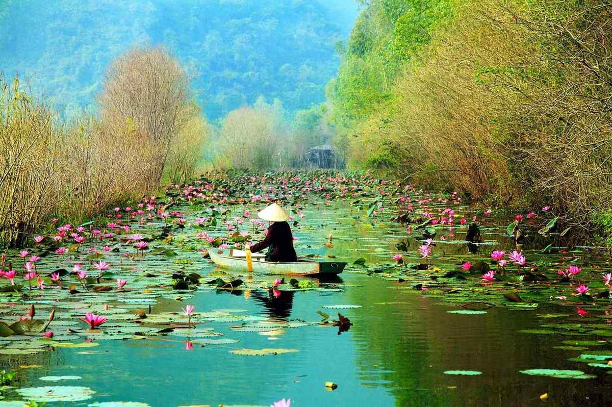 Vietnam landscape