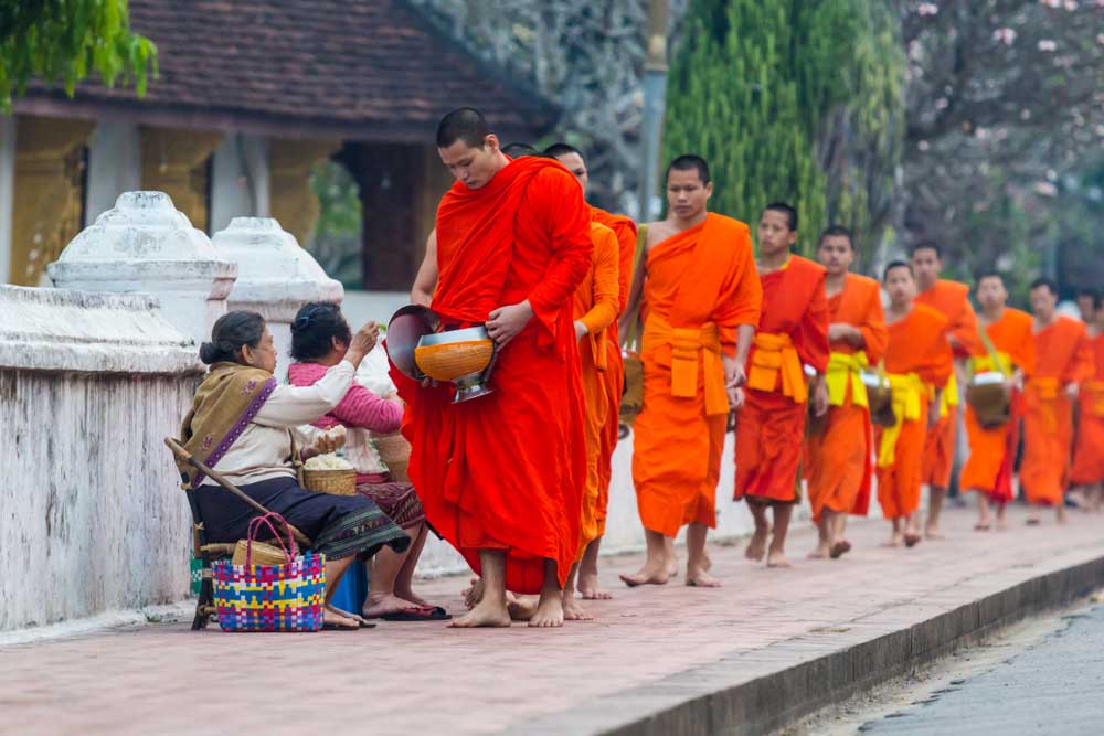 Laos luang prabang buddhist alms giving ceremony in the morning