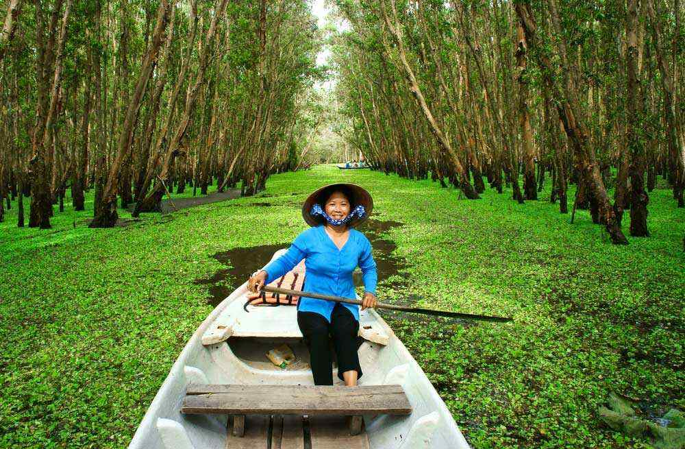 Vietnam mekong delta an giang tra su forest