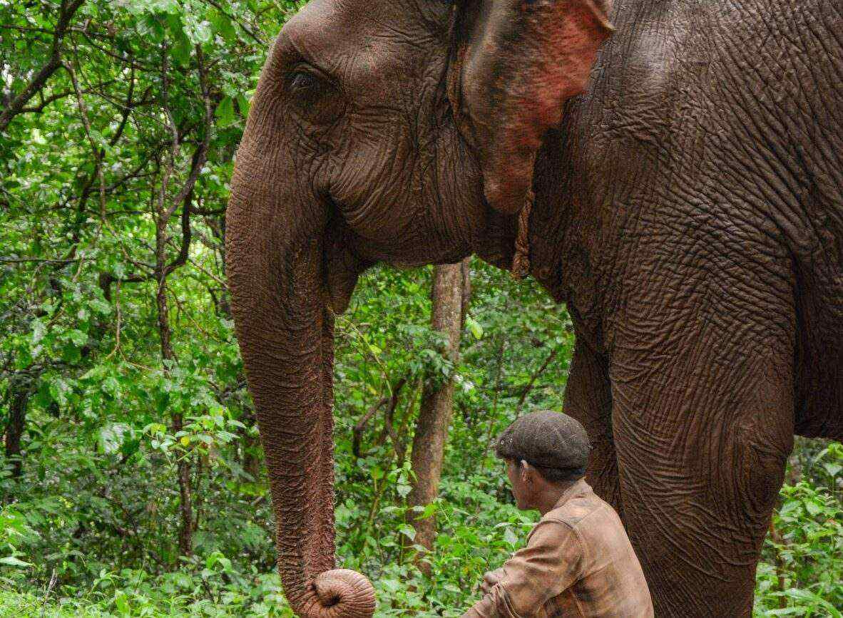 Cambodia mondulkiri