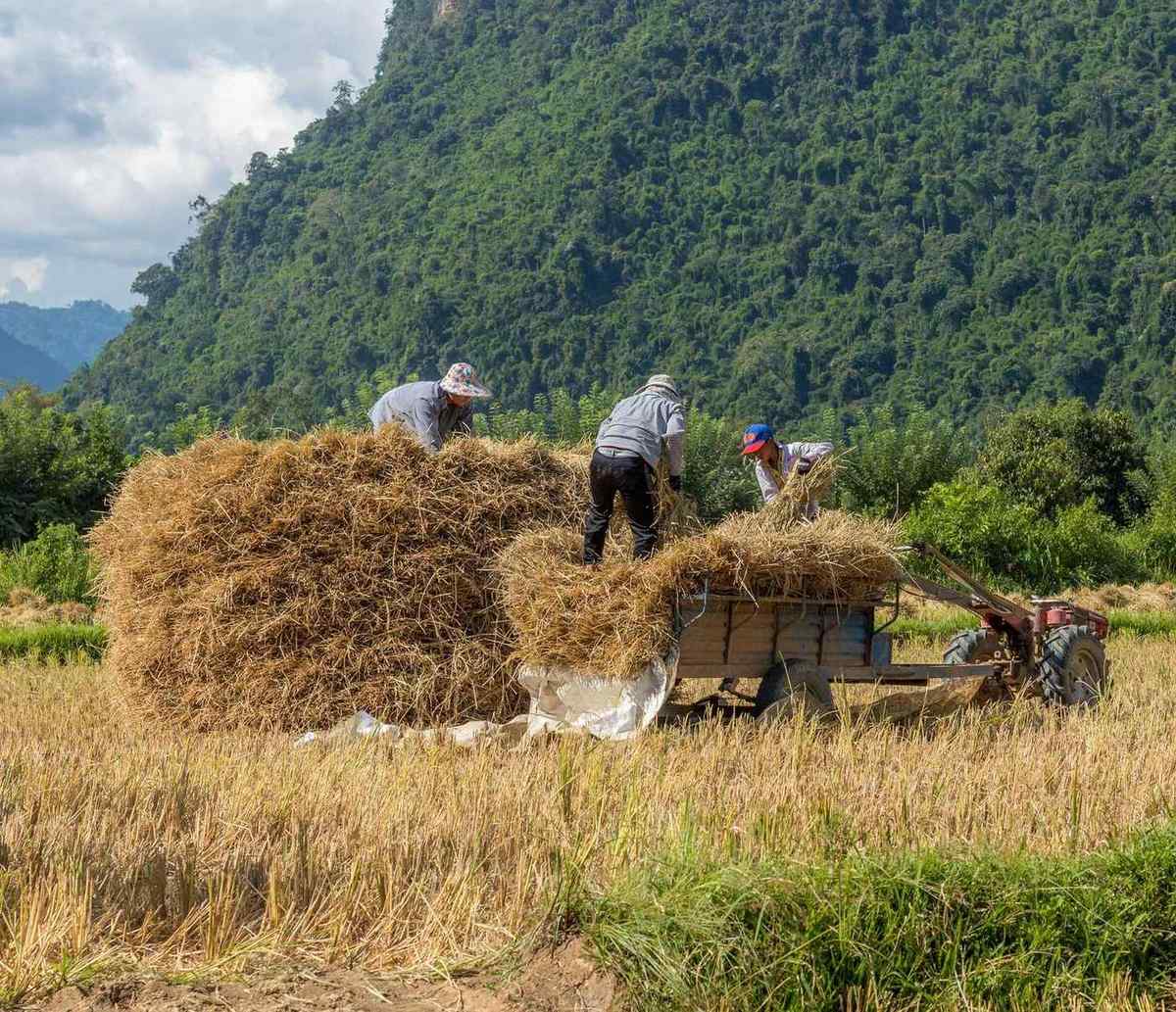 Vang vieng laos