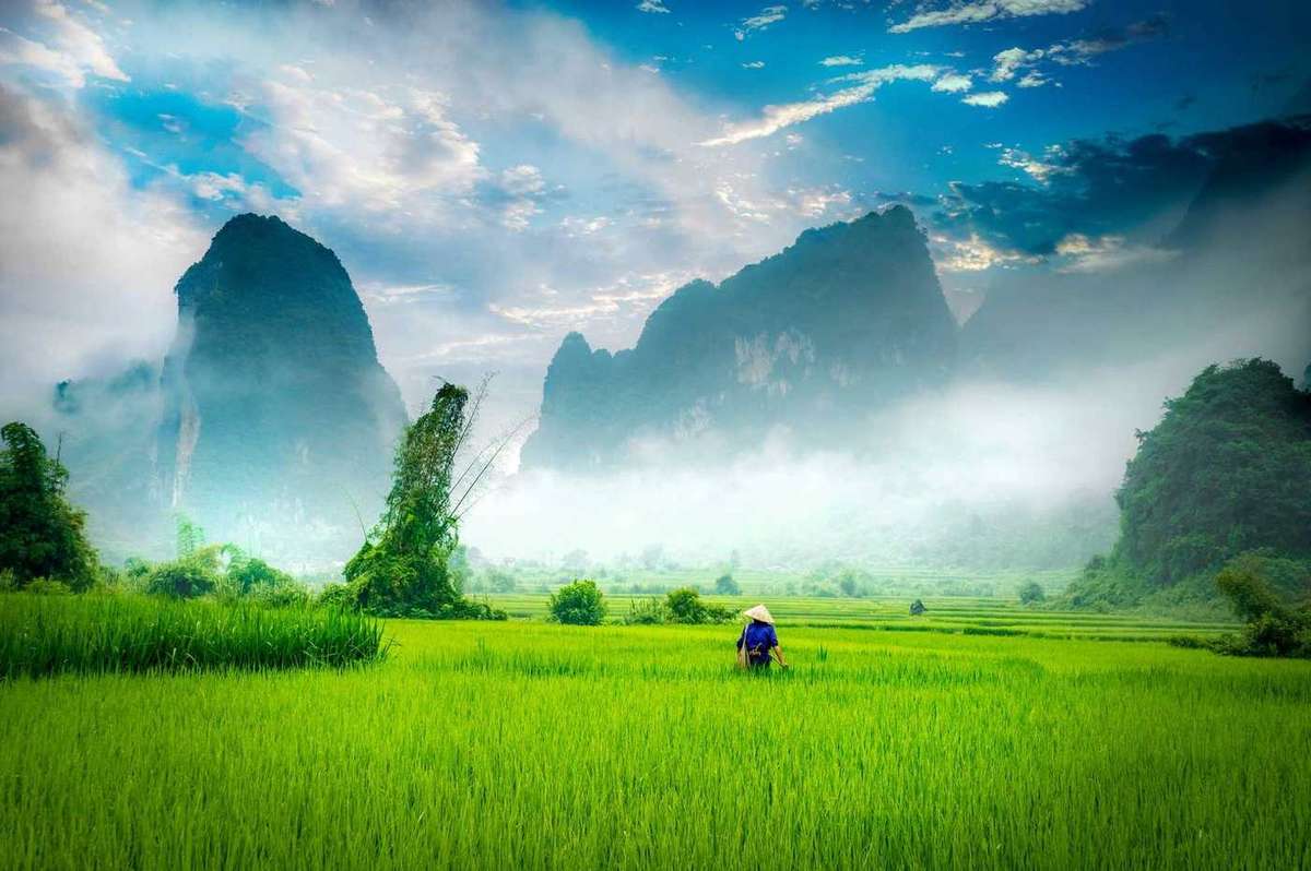 Vietnam cao bang going to the field