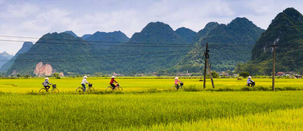 Vietnam lang son five women ride bicycle in the rice field