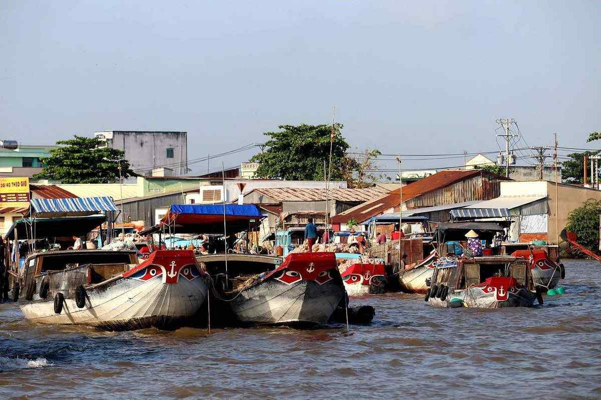 Vietnam mekong delta
