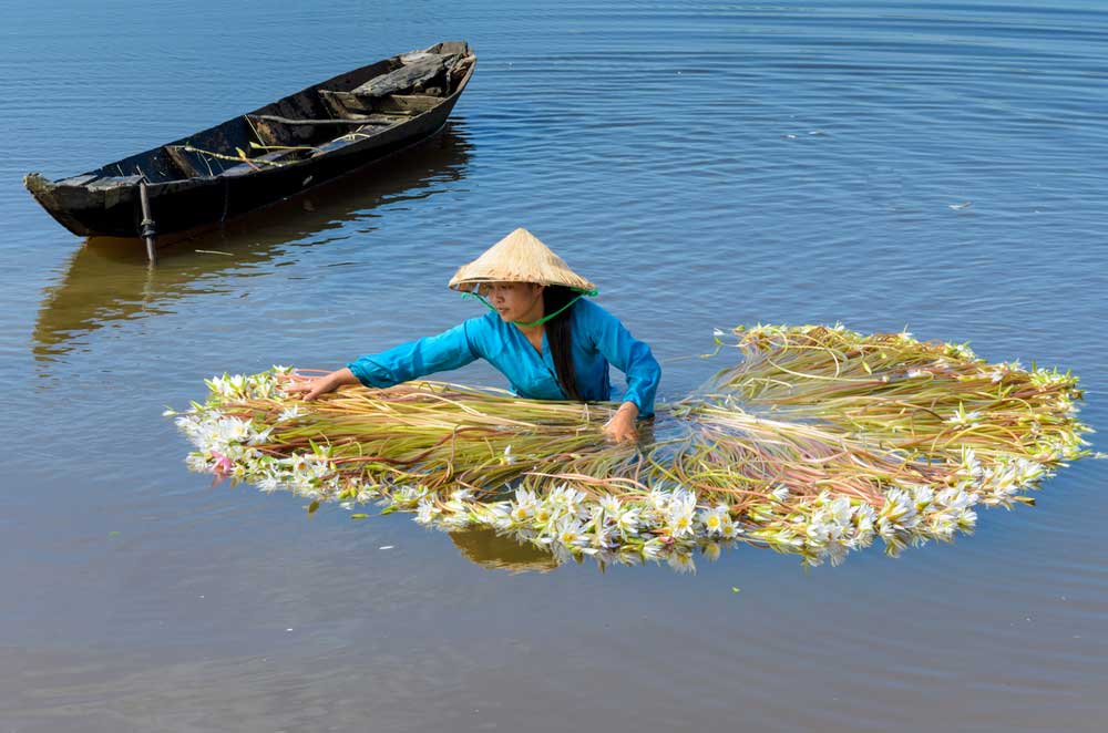 Vietnam mekong delta