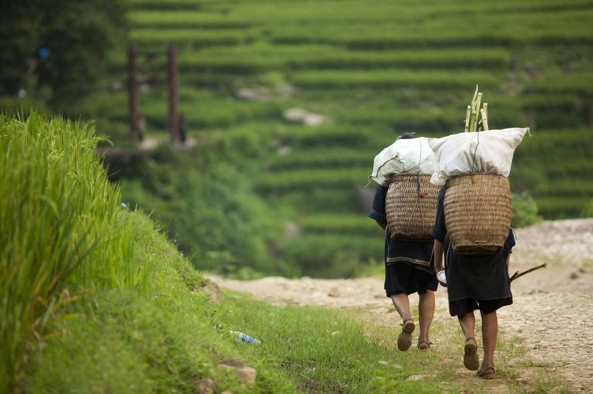 Vietnam sapa hmong in sapa eou