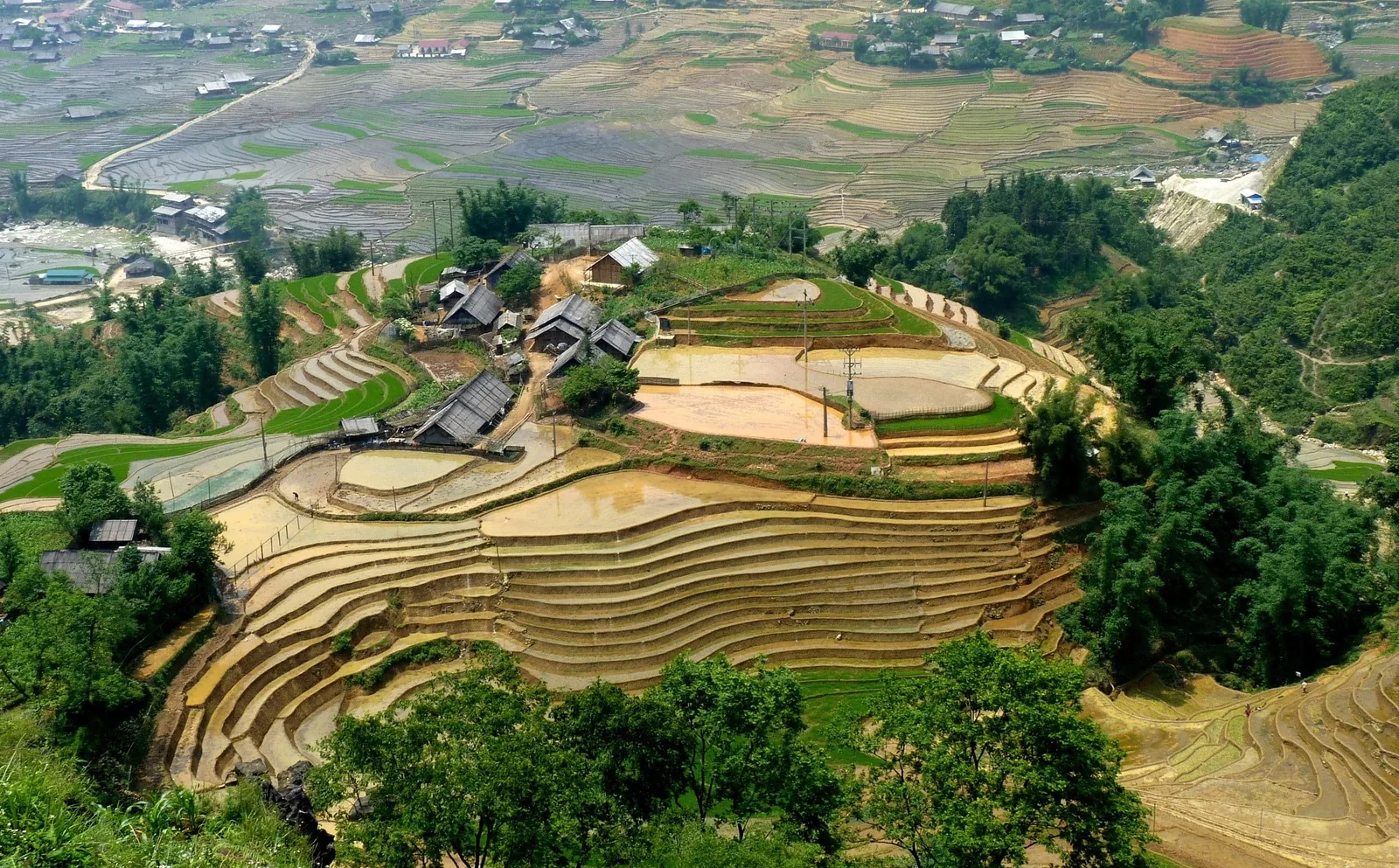 Aerial view of terraced rice fields curving around a small hillside village in Sapa, Vietnam.