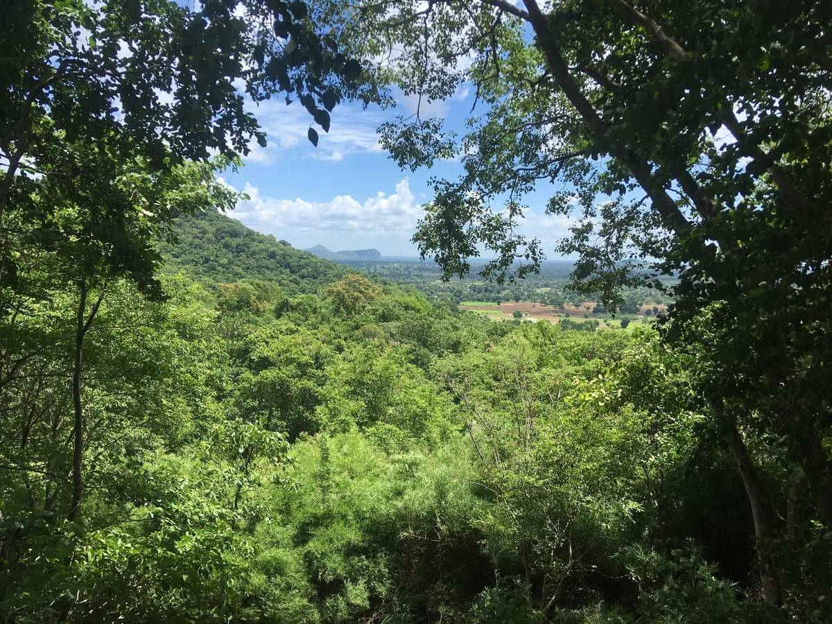 Forested hills and farmland stretch toward distant peaks, viewed through tree branches from Phnom Banan near Battambang.
