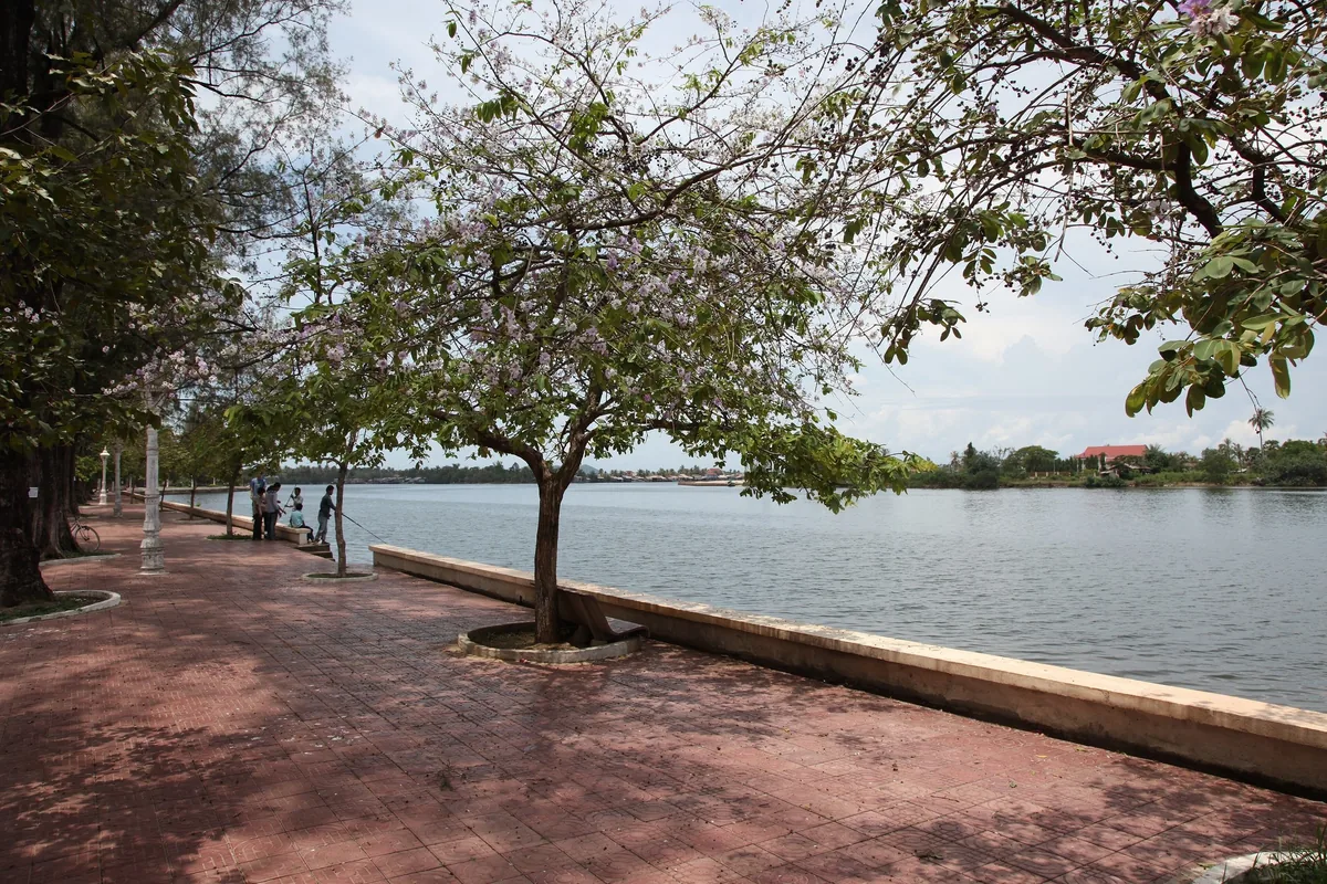 A blossoming tree lines a riverside promenade in Kampot, with people fishing along the water's edge.