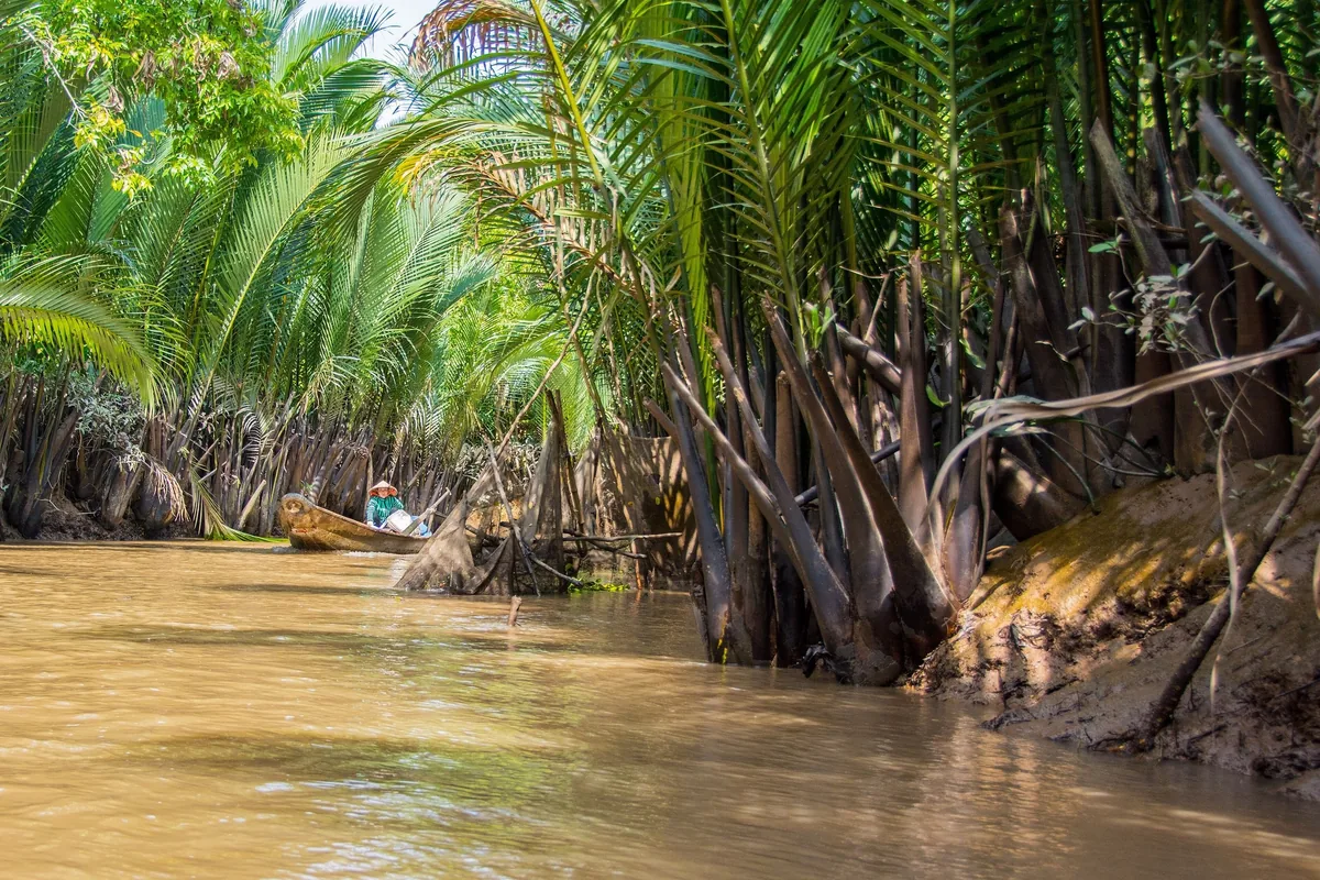 A small wooden boat drifts along a muddy canal lined with palm trees and water coconut plants in the Mekong Delta.