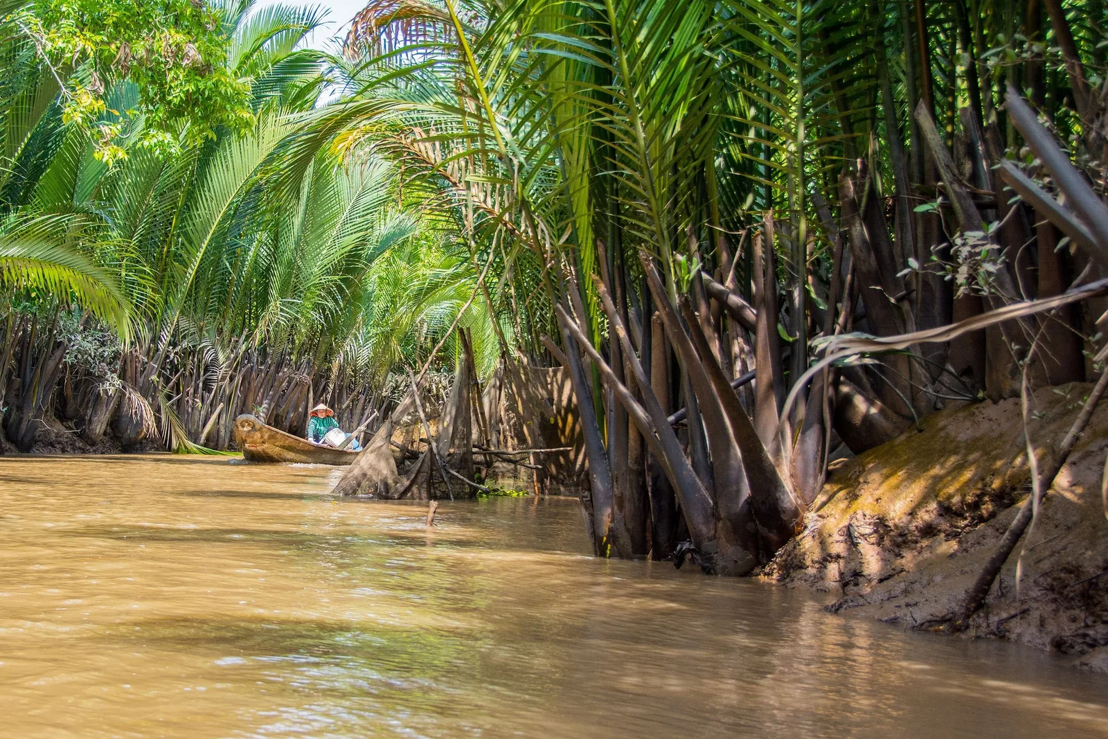 A small wooden boat drifts along a muddy canal lined with palm trees and water coconut plants in the Mekong Delta.