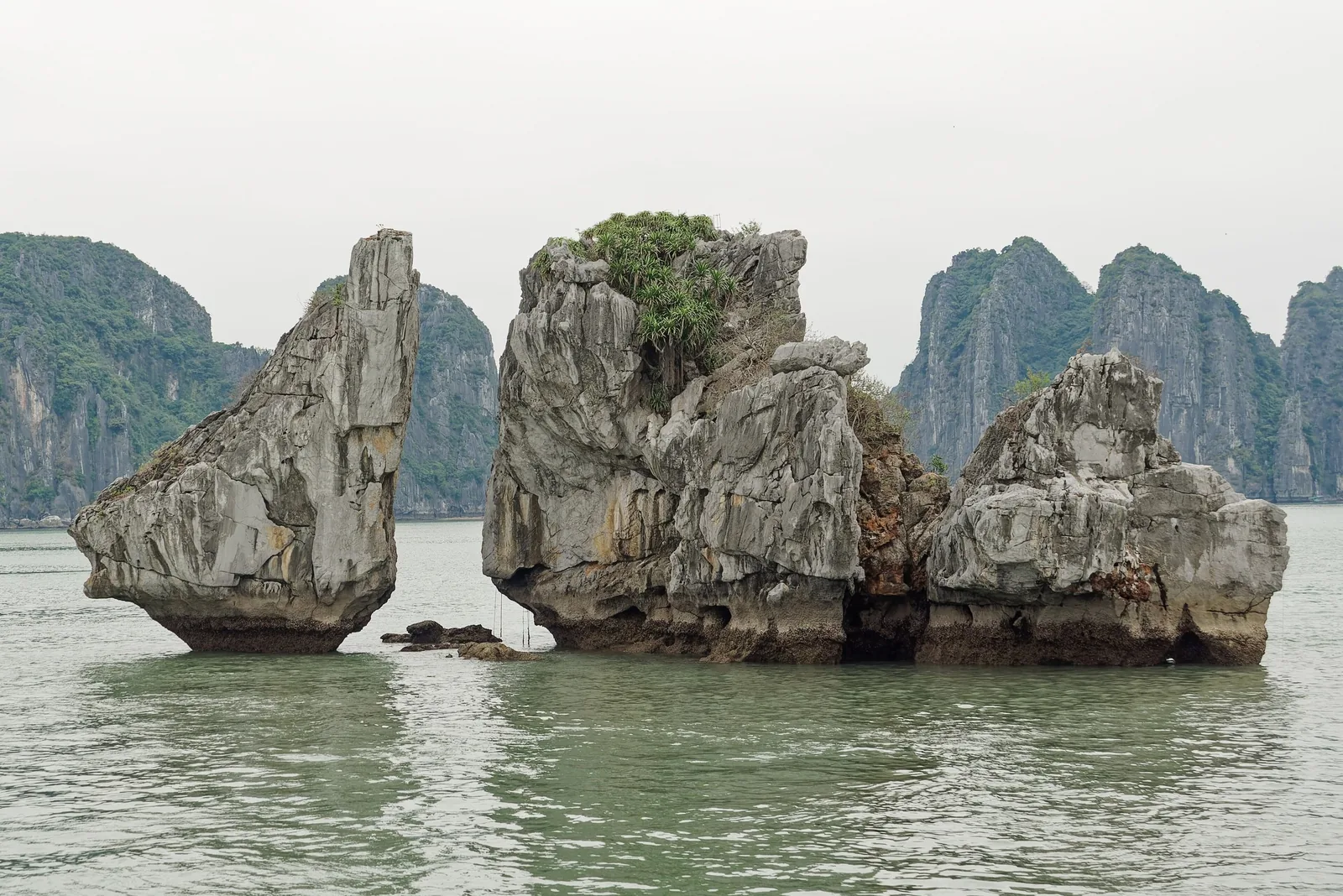 Jagged limestone karsts rise from calm green water in Ha Long Bay, Vietnam.