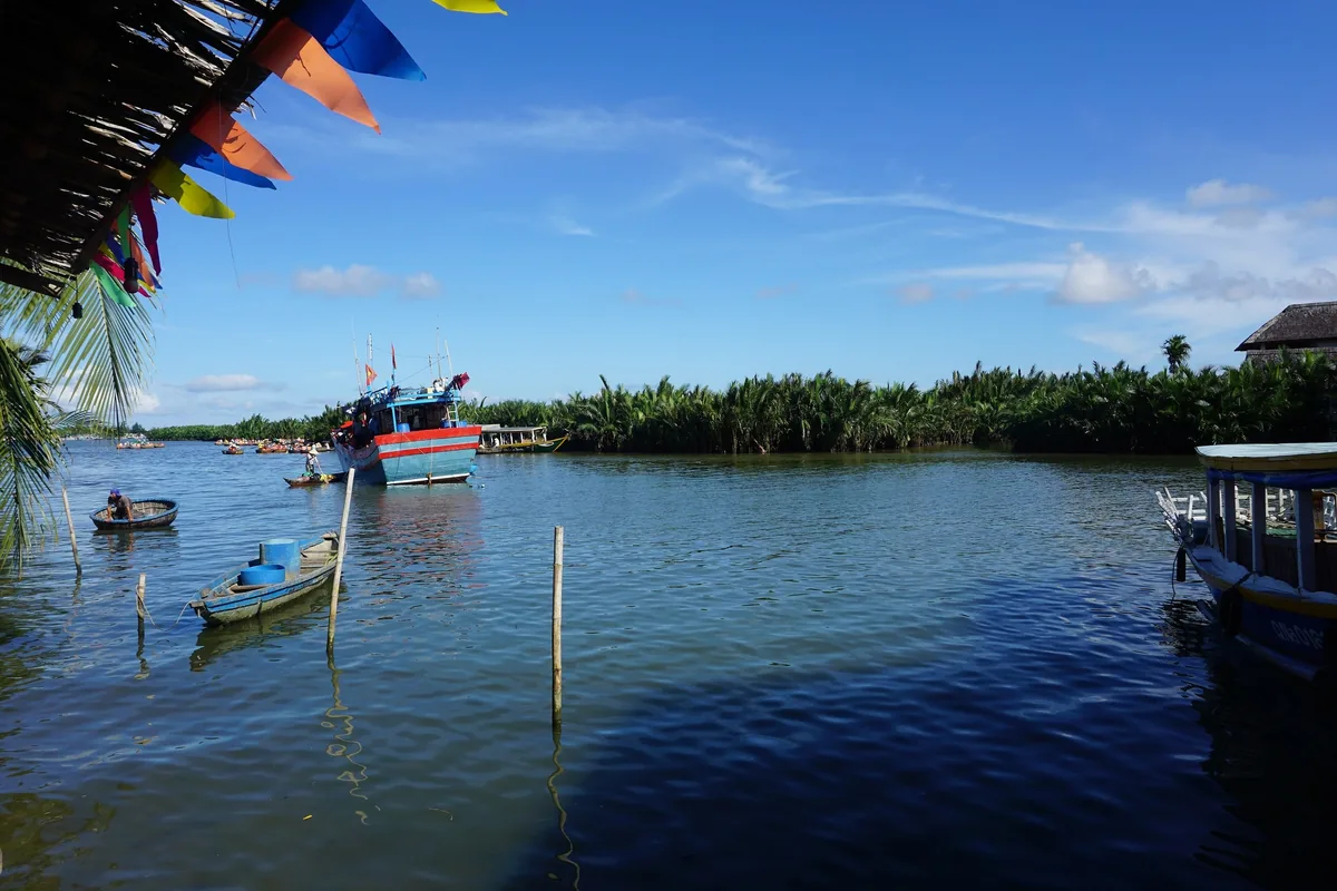 A fishing boat and small basket boats float on a calm river bordered by water coconut palms near Hoi An.