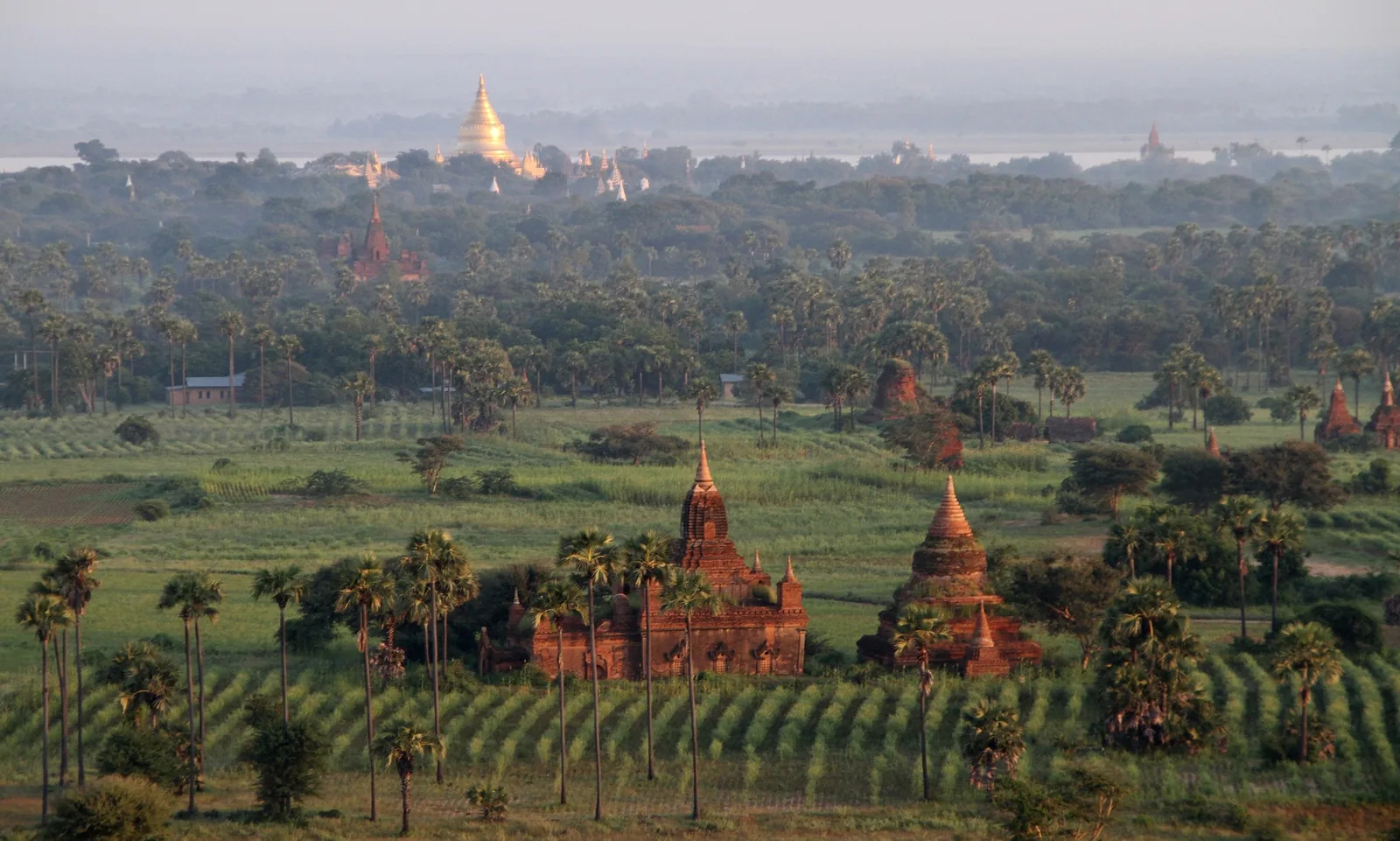 Ancient brick temples rise among palm trees and green fields with a golden pagoda glowing in the misty distance over Bagan.