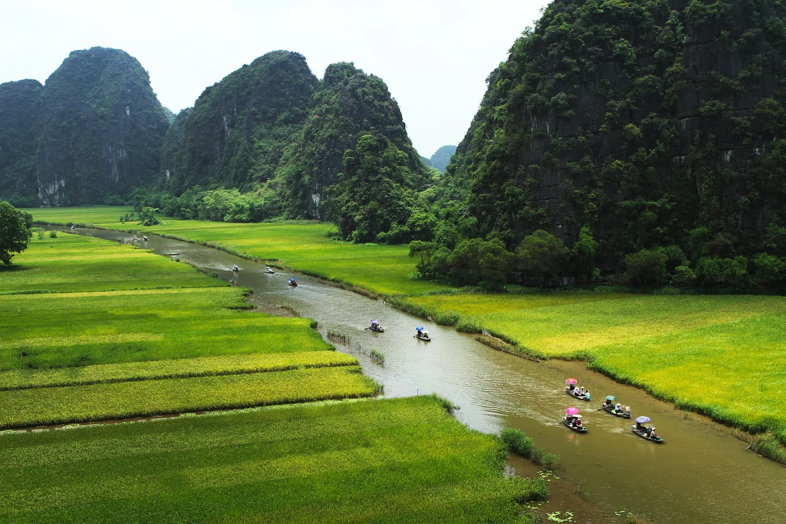 Small boats carry visitors along a winding river between rice fields and limestone karsts in Ninh Binh.