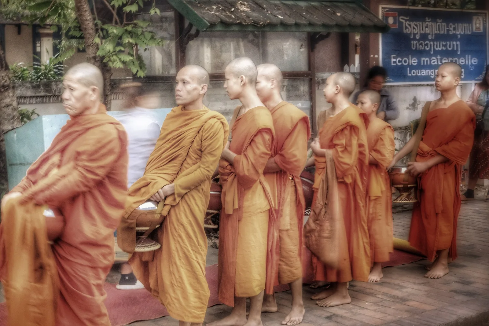 Buddhist monks in orange robes walk in a barefoot alms procession through the streets of Luang Prabang.