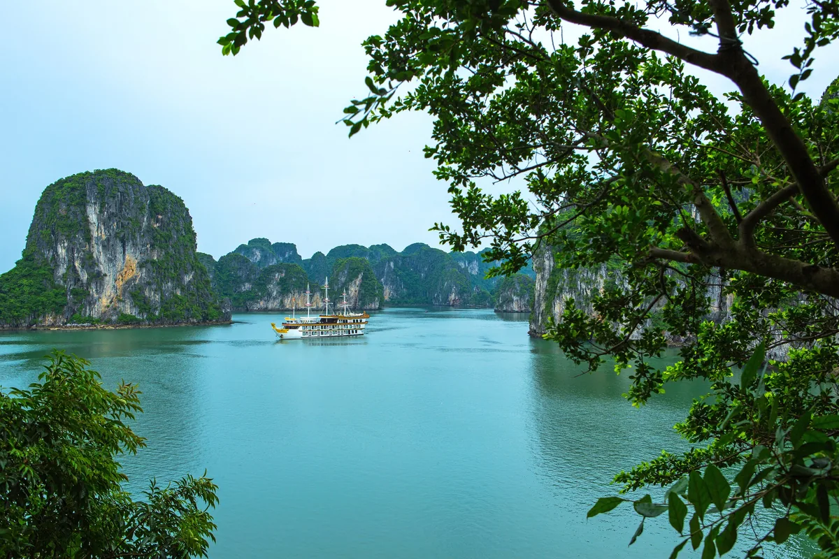 A cruise junk sails through limestone karsts on the emerald waters of Halong Bay, framed by tree branches.