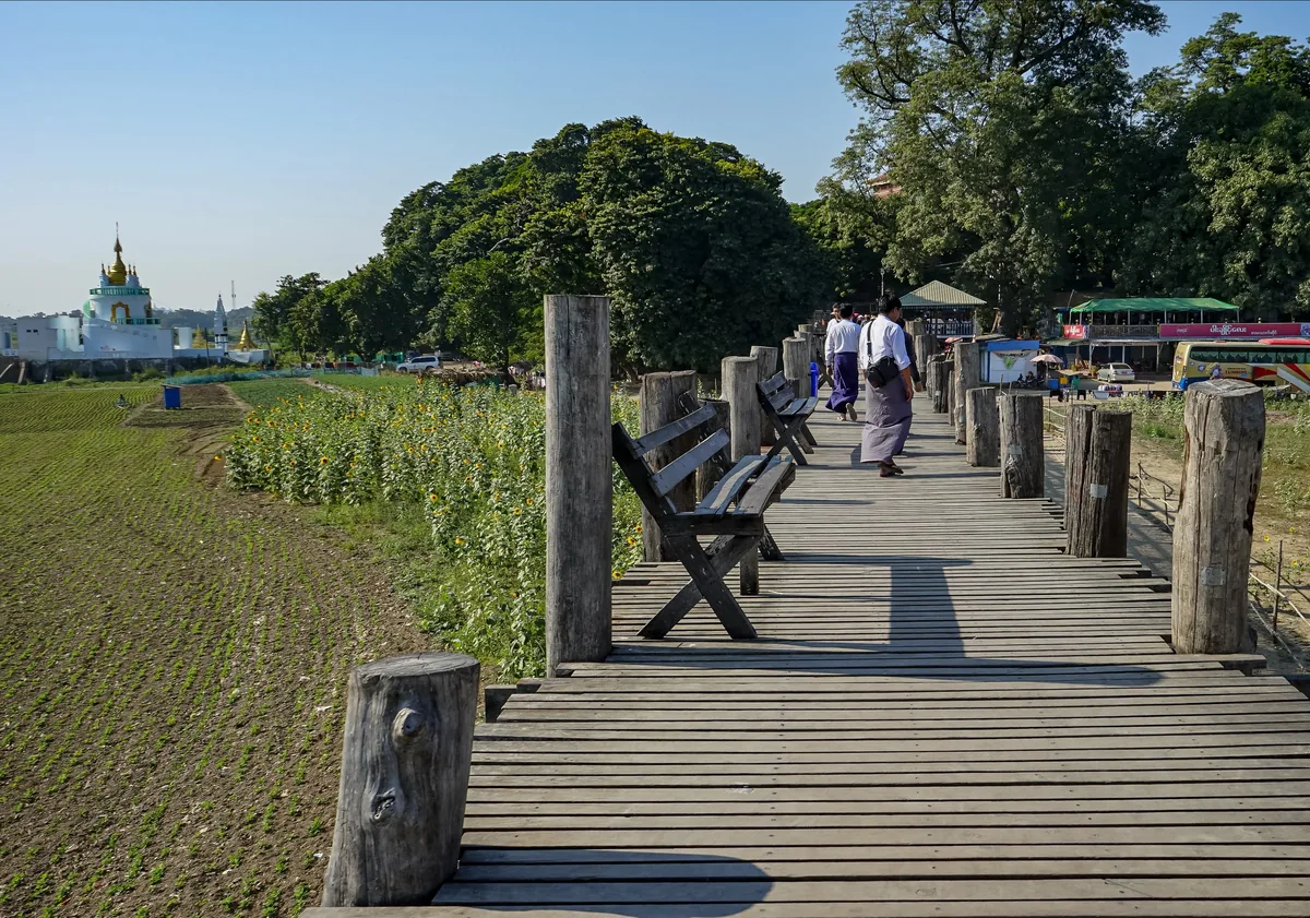 People walk along the weathered teak planks of U Bein Bridge near Mandalay, past wooden benches and sunflower fields.