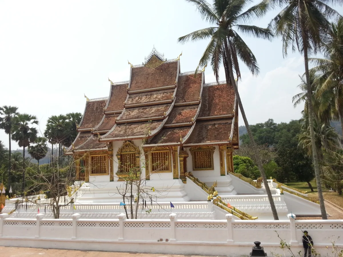 A gilded Lao temple with a steep tiered roof stands amid palm trees in Luang Prabang.