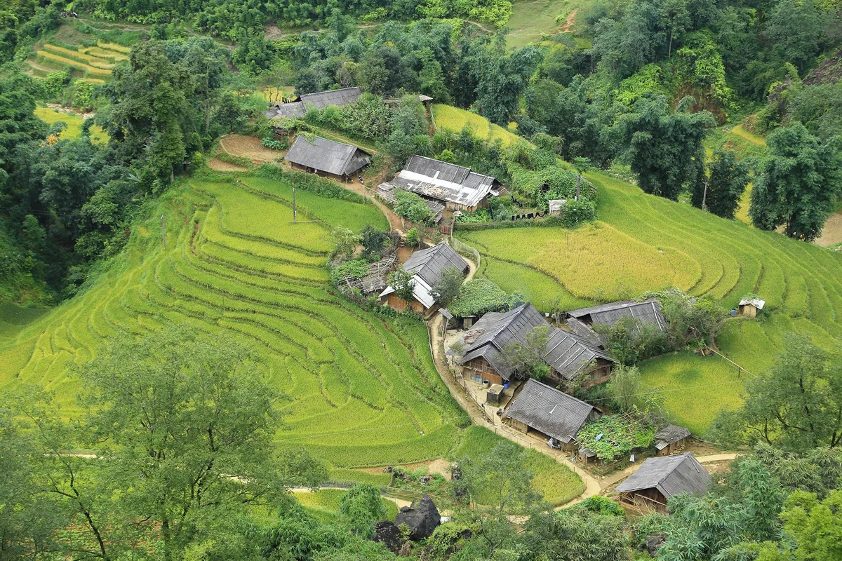 A cluster of wooden stilt houses sits among green terraced rice fields on a hillside near Sapa.