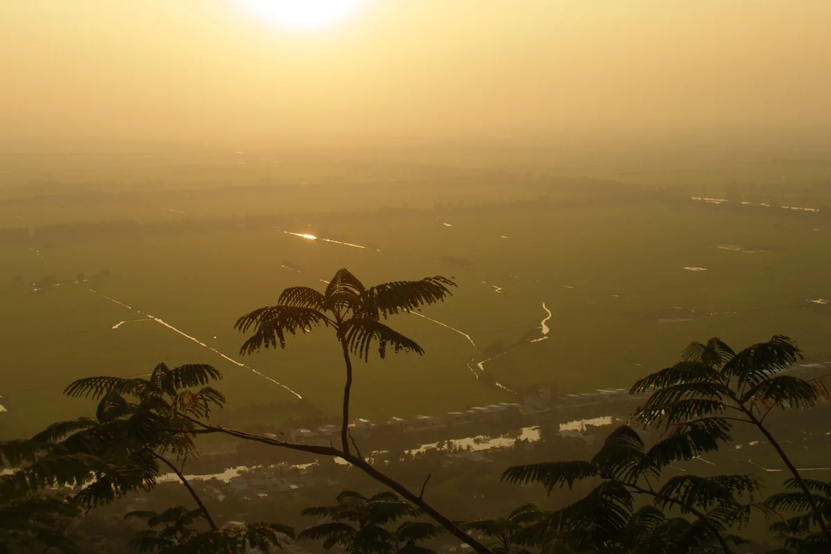 Hazy sunset view over rice fields and canals from Sam Mountain near Chau Doc, framed by silhouetted foliage.